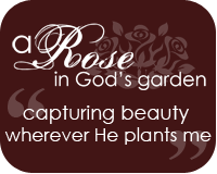 A Rose in God's Garden