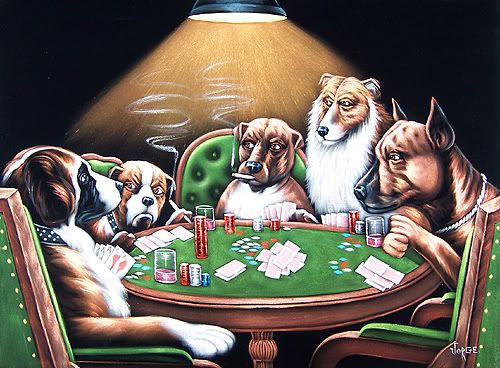 Poker Pictures, Images and Photos