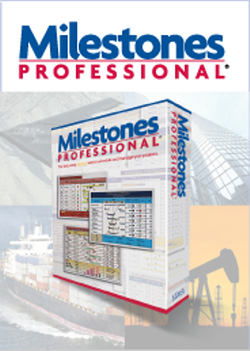 KIDASA Software Milestones Professional 2009