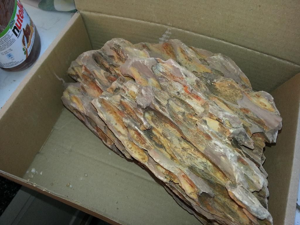http://i933.photobucket.com/albums/ad174/mrcold07/Mobile%20Uploads/20140405_190117_zpswmmwtlpi.jpg
