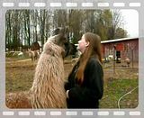 Cara and Kissy at Shadowbrook Farms