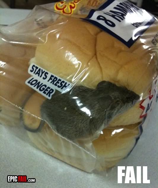 freshness-fail-mouse-buns.jpg