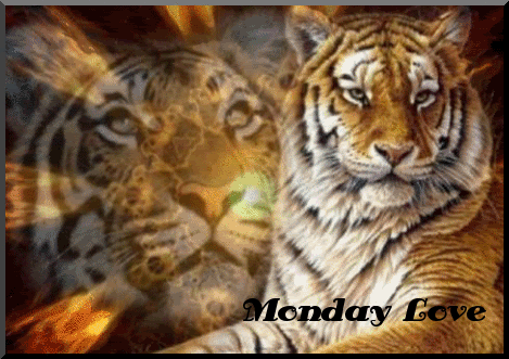 MONDAY_LOVE.gif