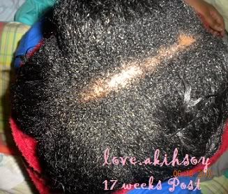 NG17wks06102010.jpg