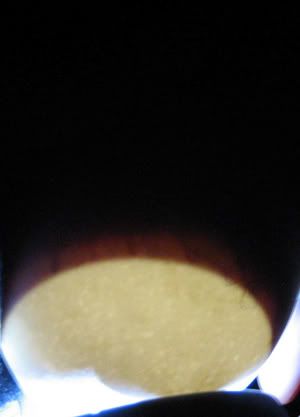 http://i933.photobucket.com/albums/ad180/van-cha/Geese/IMG_1863.jpg