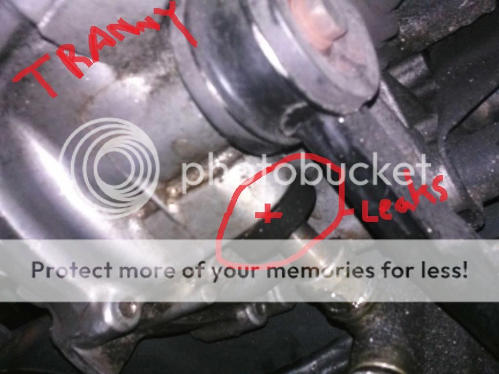 Manual Transmission oil leak - Honda-Tech - Honda Forum Discussion